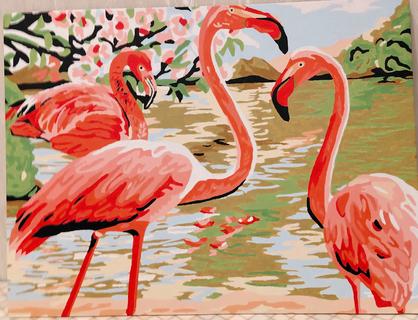 08 Никончик ТВ